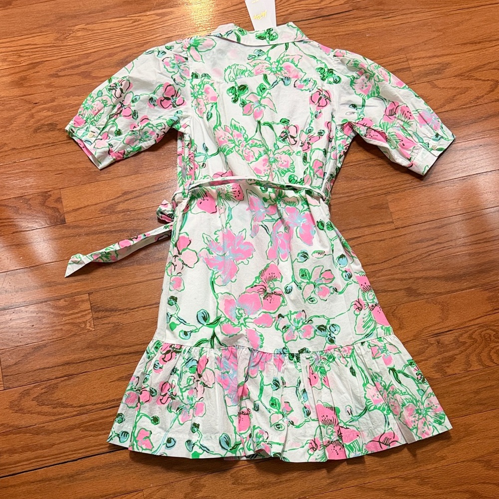 Lilly Pulitzer Pink and Green Floral Shirt Dress - Picture 9 of 9